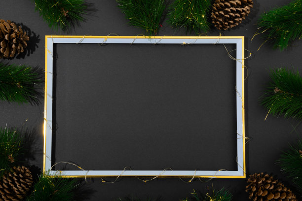 框架与复制空间的构图，黑色背景上的冷杉树枝与松果图片下载