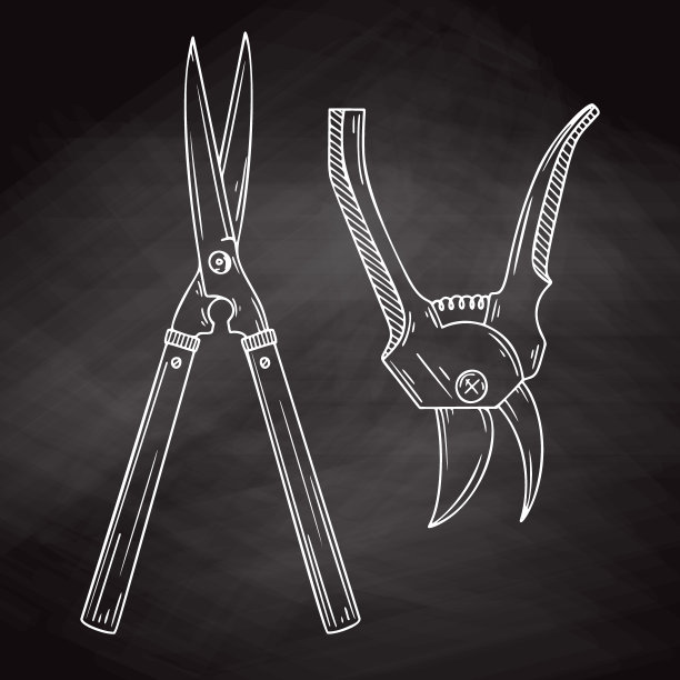 花园剪枝夹被孤立在黑板上。矢量插图在素描风格。图片下载