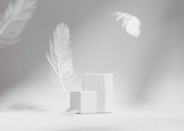 3D背景，白色讲台显示。自然背景与阴影和飘落的羽毛。产品推广美容化妆品，自然奢华展台套装。工作室空模板。最小的3 d渲染图片下载