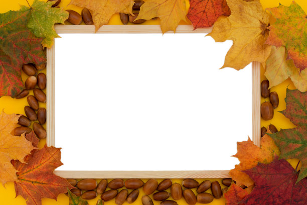 特写，俯视图，木制框架被秋叶和橡子包围。概念-广告空间，文字或照片的地方，布局，模板的设计图片下载