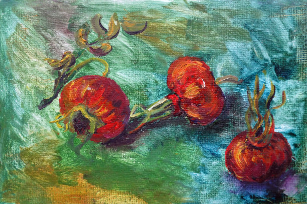 绿松石背景上的三个红野玫瑰浆果，油画图片下载