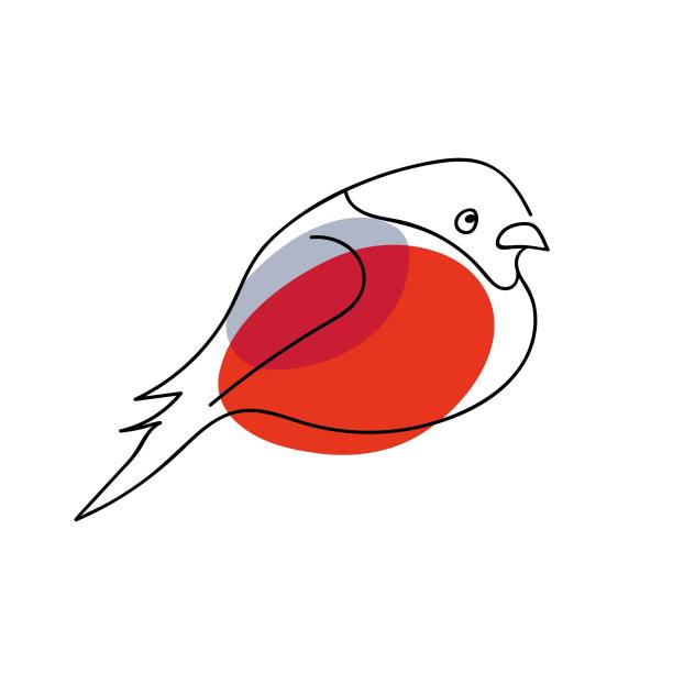 欧亚灰雀，手绘可爱的鸟线性矢量草图图标孤立在白色背景。季节性的涂鸦设计元素。鲜红色的鸟是冬天的象征。Pyrrhula Pyrrhula图片下载