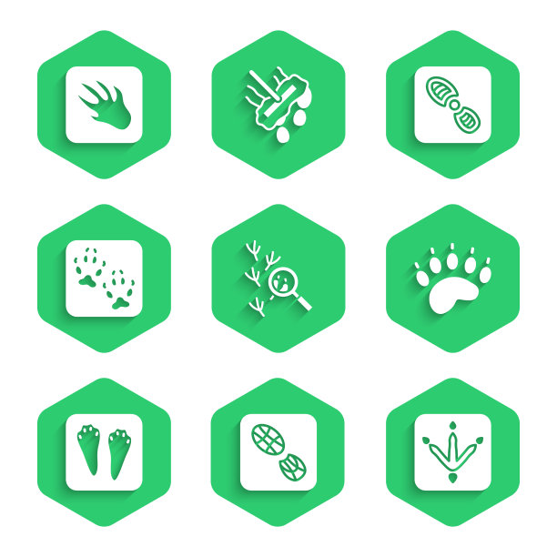 设鸟脚印，人脚印鞋图片下载