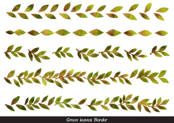 绿色的叶子水彩边界装饰自然，茶和花园的概念。图片下载