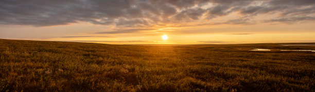 自然的日出。风景如画的美丽天空下。太阳已升过地平线。全景。图片下载