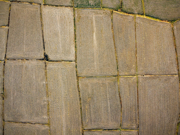 一大片农田准备种植水稻的航拍照片，无人机摄影图片下载