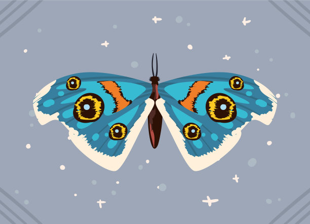 神秘蝴蝶旗图片下载