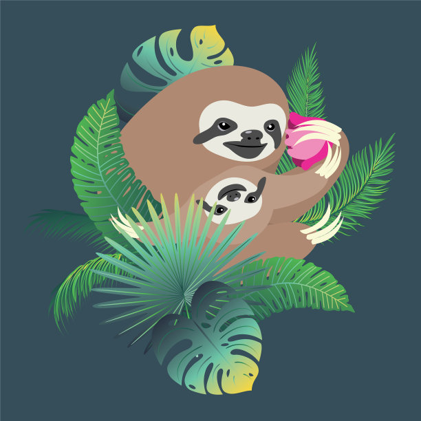 树懒宝宝和热带叶子图片下载