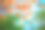 Colorfule枫图片下载