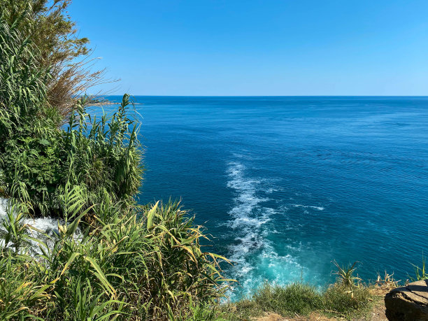 从海边的草地上看到的景色图片下载