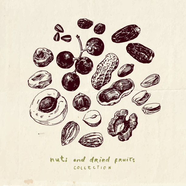 收集坚果种子和干果图片下载