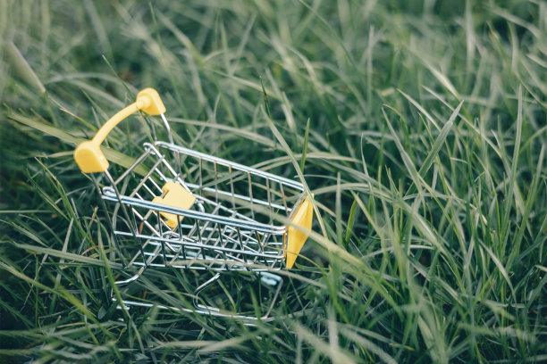 可持续消费。空荡荡的购物车在绿色的草地背景。“零浪费”的概念。副本的空间。图片下载