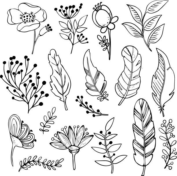 植物学集春、夏草本和图片下载