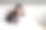 年轻的亚洲女子穿着黑色西装，一边在床上用笔记本电脑看短信一边工作。图片下载