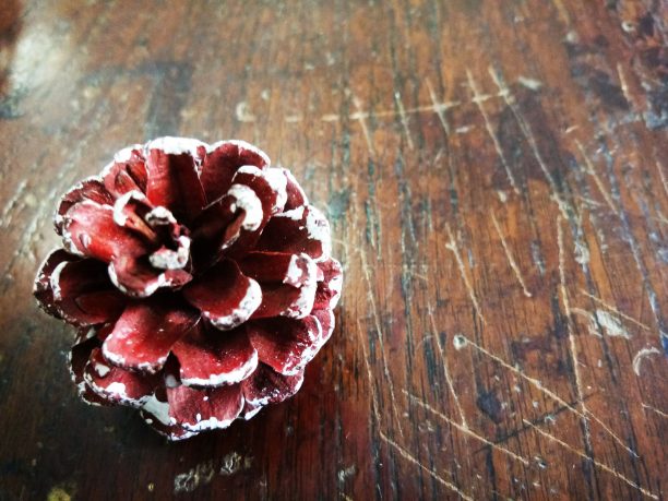 木背景与松果的俯视图图片下载