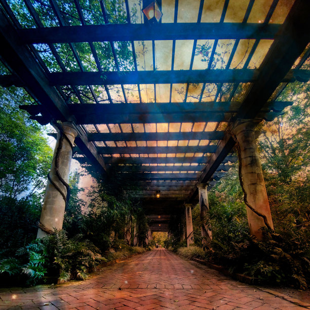 植物的观点图片下载