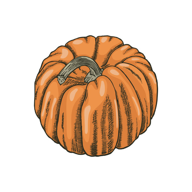 用墨水手绘南瓜。图片下载