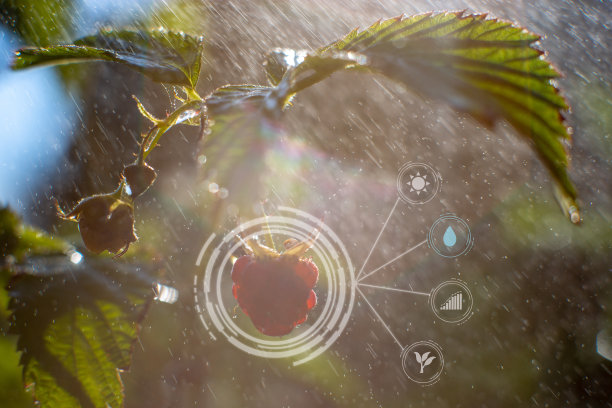 创新智慧农业农场体系图片下载