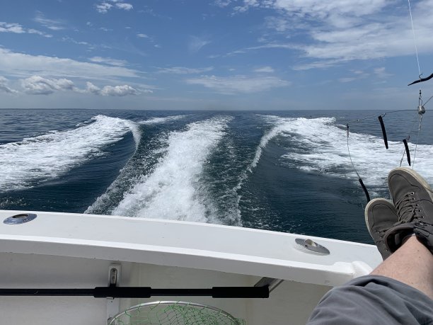 外出钓鱼图片下载