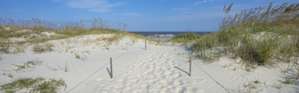 海滩沙丘通道。图片下载