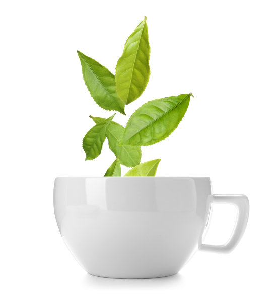 白色背景下的绿茶落进杯子里图片下载