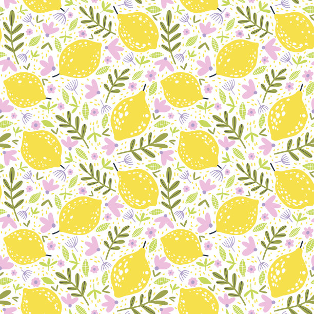 可爱的无缝图案与手绘柠檬，花朵和叶子。在白色背景图片下载
