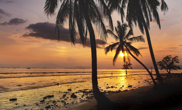 海滩的黄金时光图片下载