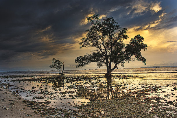 海滩的黄金时光图片下载