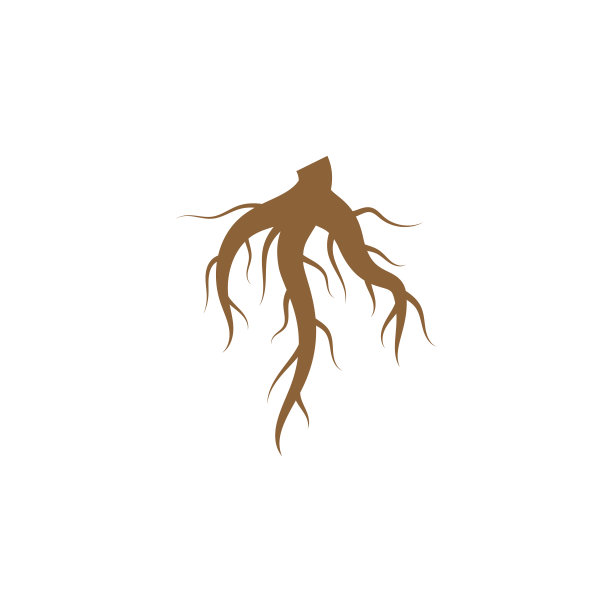 根图标设计模板孤立的插图图片下载