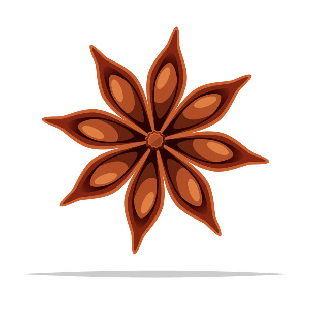 八角香料矢量孤立插图图片下载