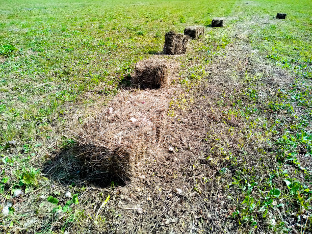 在草地上排成一排的方形干草图片下载