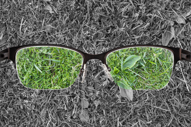 透过绿色玻璃上的眼镜看图片下载