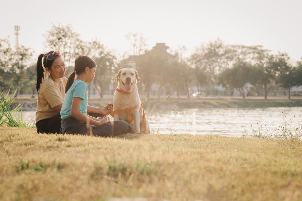 亚洲女儿和母亲带着拉布拉多寻回犬坐在公园里图片下载