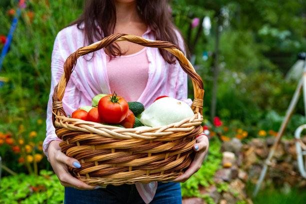 手拿着一篮新鲜的夏季蔬菜图片下载