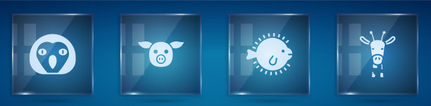 集猫头鹰、鸟、猪、河豚、鱼和长颈鹿头图片下载