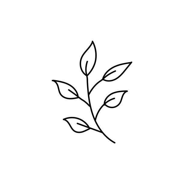 叶子图标与手画线图片下载