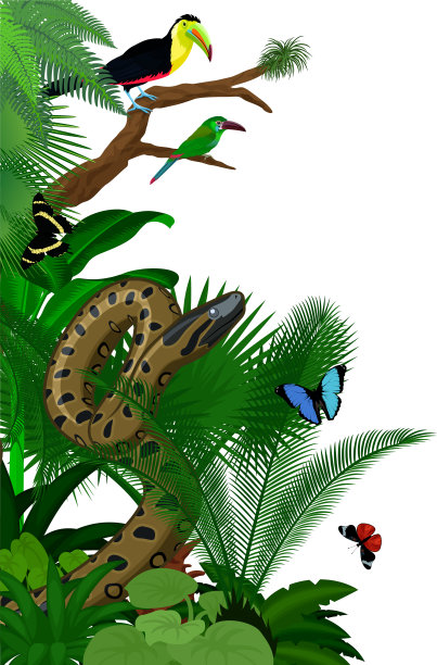 向量丛林雨林树叶垂直边界插图与绿色的蟒蛇，深红色的臀部toucanet，彩虹嘴巨嘴鸟和蝴蝶图片下载