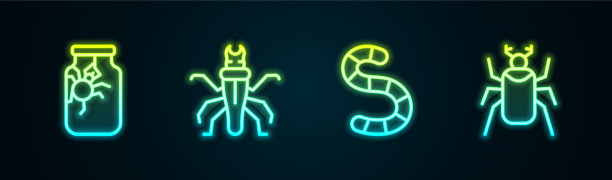 在罐子里放线蜘蛛、白蚁和甲虫图片下载