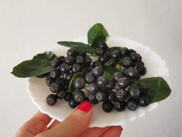 黑色秋香果(Aronia)浆果与叶子放在白色盘子图片下载