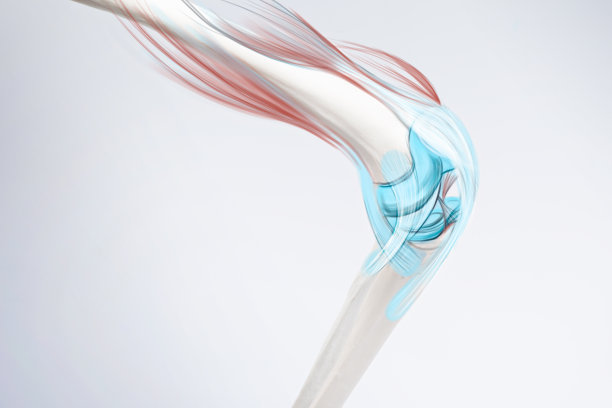 膝骨和肌肉疼痛，人体腿部解剖说明图片下载