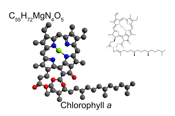 叶绿素a的化学式、骨架式和2D球棍模型图片下载