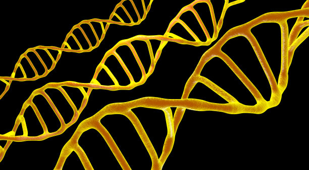 现场观察的分子DNA在一个黑色孤立的背景下。图片下载