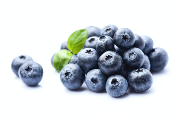 带叶子的甜蓝莓图片下载