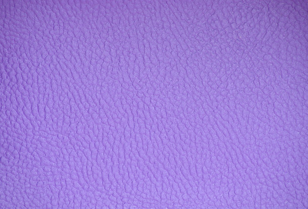 真皮碎片，人工染成亮紫色。图片下载