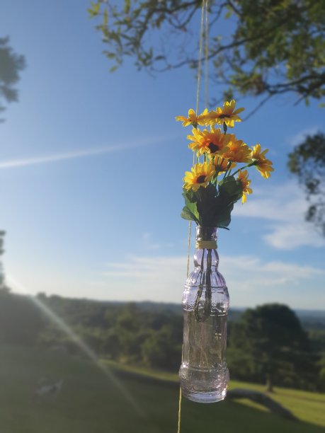 瓶中花图片下载