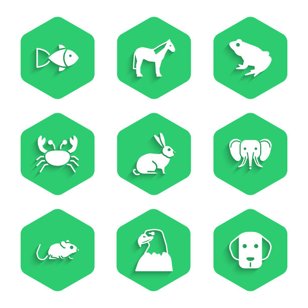 集兔子、鹰、头、狗、象、鼠、蟹图片下载