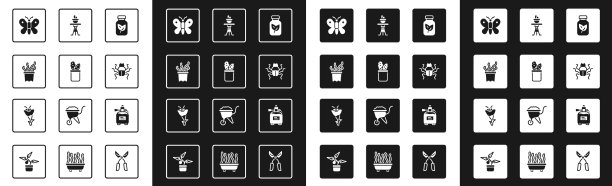 将肥料瓶中的仙人掌佩奥特放入锅中图片下载