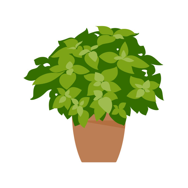 家工厂。在白色上分离的盆栽植物。平的。矢量插图。图片下载