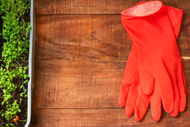 在家里用自己的双手种植蔬菜。一种在家里种植的环保产品。文本的地方图片下载