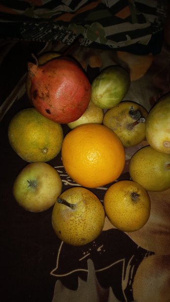 一组水果彩色背景的照片图片下载